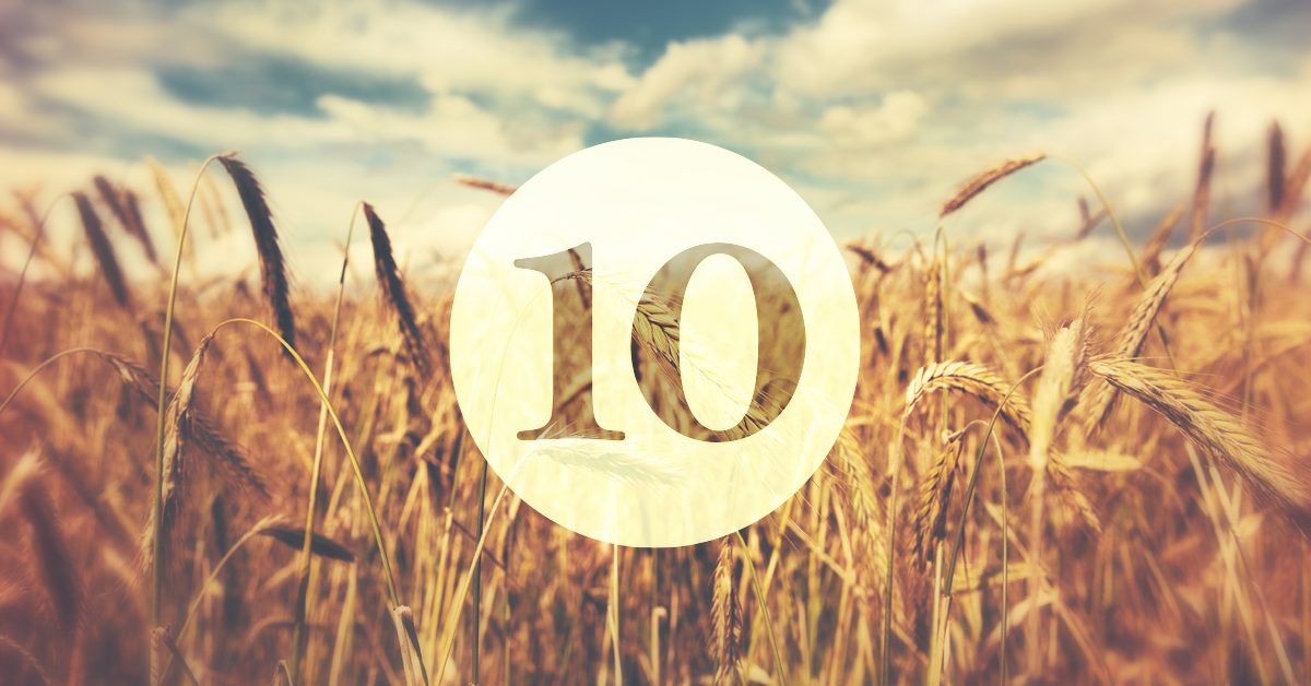 10 Biblical & Practical Ways to Get Involved in Church Planting Today