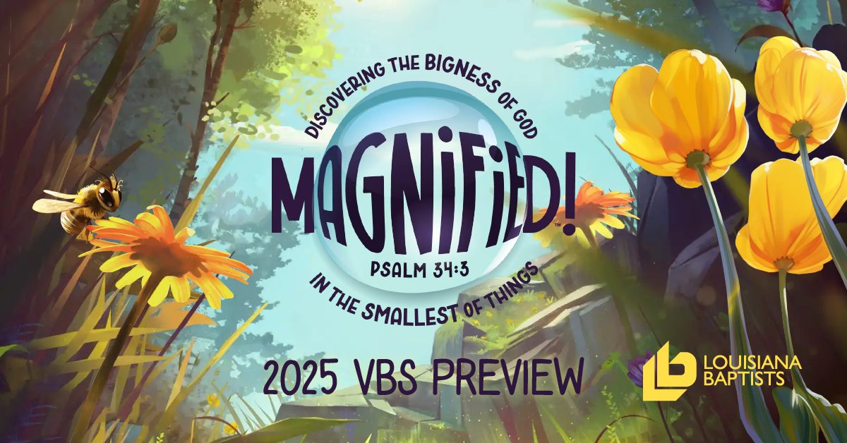 2025 VBS Preview